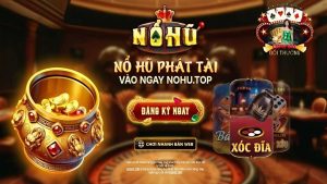 Tổng quan về Nohuwin